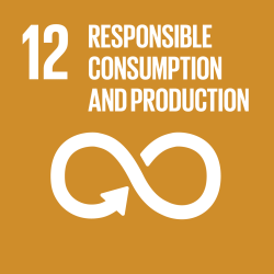 ODS 12 - Consumo e Produção Responsáveis